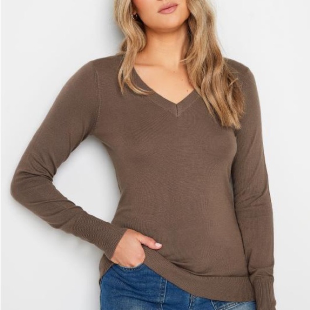 H&M Taupe V-Neck Sweater